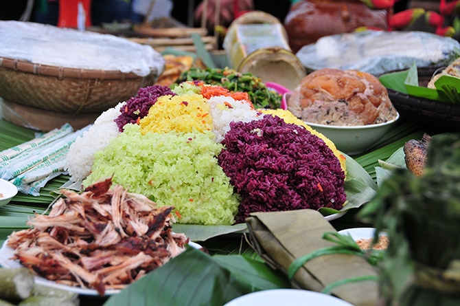Nouvel An 2022 Découvrir «saveur de la forêt, beauté de la montagne» à Hanoi
